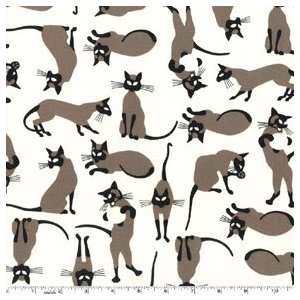 We are Siamese Cats on White Five Yards (4.5m) CX5239 Cream  