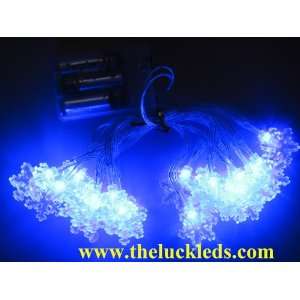  Theluckleds 8.2ft/2.5M Blue 20 pcs snowflake LED Christmas 