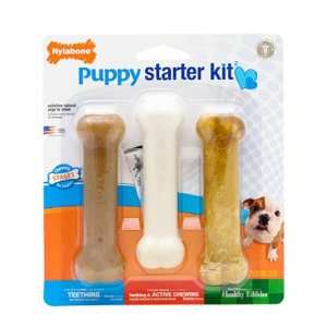 Nylabone Puppy Chew Toy Starter Kit 