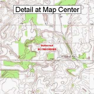  USGS Topographic Quadrangle Map   Butternut, Michigan 