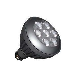   Halco 80006   PAR30L/9WW/FL/LED Flood LED Light Bulb
