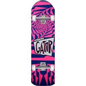   Complete Skateboard   10.25 Blue/Pink w/Raw Trucks