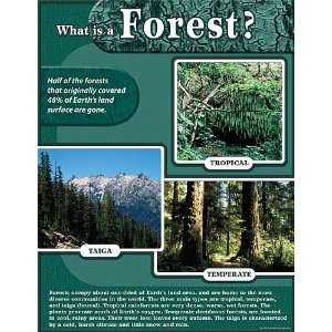   Created Resources Forest Chart, Multi Color (7612)