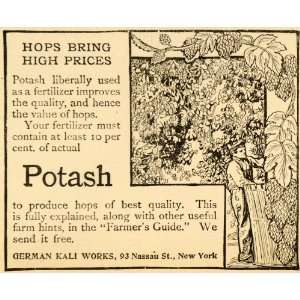  1907 Ad Hops Potash Fertilizer German Kali Works Farm 