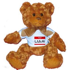 HELLO my name is LIAM Plush Teddy Bear with BLUE T Shirt 