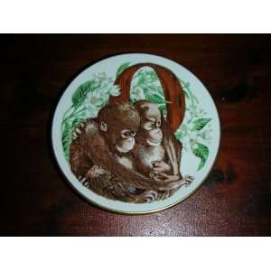   Alphabet Miniature Plate Collection (Orangutan) 