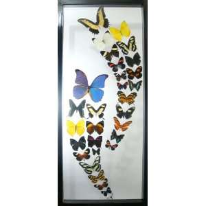  Double Wave Mounted Butterfly Wall Decor 
