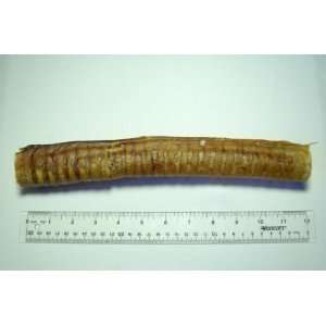  Beef Trachea (Moo Tubes) Dog Treat 12