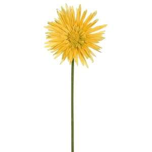  Faux 19 Spider Gerbera Daisy Spray x1 Yellow Green (Pack 