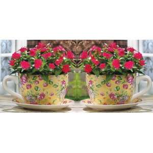  2 CHINA ROSE LARGE TEACUP PLANTERS 