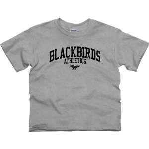  LIU Brooklyn Blackbirds Youth Athletics T Shirt   Ash 