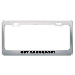  Got Tarogato? Music Musical Instrument Metal License Plate 