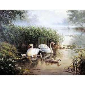 Swan Lake I Poster Print