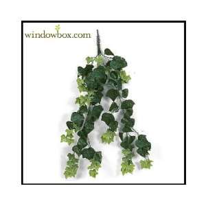   36 Artificial Outdoor English Ivy with 9 Vines