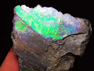 Ammolite Gemstone, Ammonite Opal Canada Opal151  