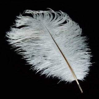  Snow White 20 Ostrich Feather 8 12 to Decorate Eiffel 