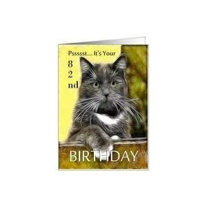    Birthday ~ Age Specific 82nd ~ Cat in a box Card Toys & Games