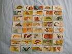 BROOKE BOND TEA CARDSVANISHIN​G WILDLIFE 1978BUY INDIVIDUALLY NOs 