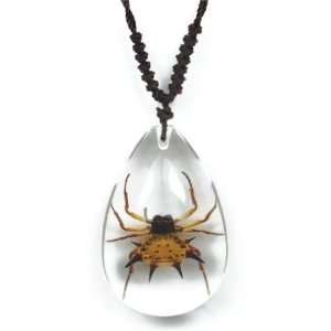  Real Insect Necklace Spiny Spider (medium) Everything 
