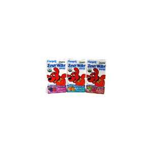 Hansens Berry, 4.23 Ounce (Pack of 44)  Grocery & Gourmet 