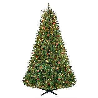   5ft Kennsington Pine Christmas Tree with Clear Lights  Country Living