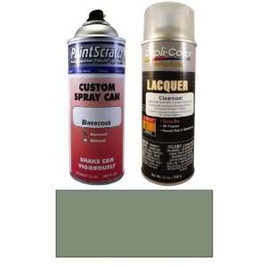  12.5 Oz. Fern or Granite Metallic Spray Can Paint Kit for 