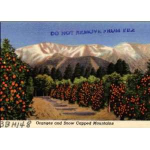  Reprint Los Angeles CA   Oranges and Snow Capped Mountains 