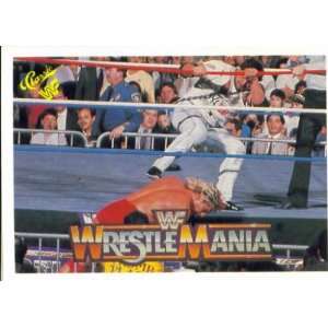   Brooklyn Brawler vs. Red Rooster (WrestleMania V)