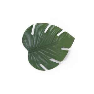    Front of the House XCO004GRV83 Philodendron Coaster