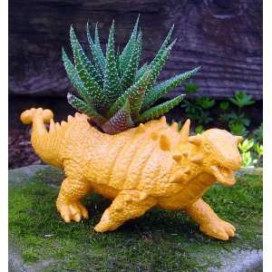  the Pinacosaurus Dinosaur Planter + Live Plant   Easy   Marigold Color