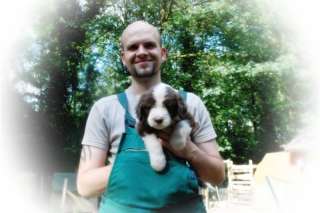 Bearded Collie Welpen Familienaufzucht VDH Pap.1 Rüde sucht noch in 