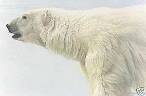 Robert BATEMAN Polar Bear Profile LTD Giclee Canvas  