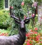 Pair Cast Bronze Outdoor Life Size Deer Statues MGSRB10069  