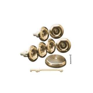 KOHLER Flexjet Whirlpool Trim Kit in Vibrant Brushed Bronze K 9696 BV 