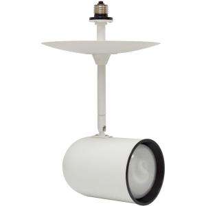 White Bullet Shaped Can Light Extension  R30 45155 