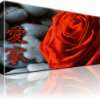 Rote Rose / Blume Bilder auf Leinwand mit Keilrahmen  Schwarz Weiß 