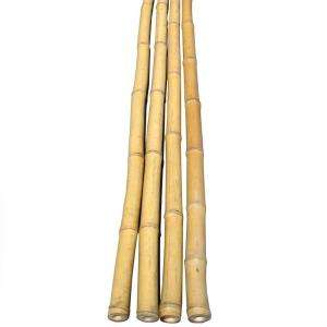 in. D x 6 ft. H Bamboo Poles Natural 25 Poles Bundled HDD BP01 at 
