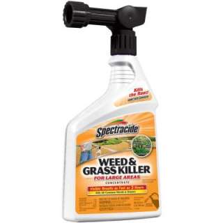 Spectracide 32 Oz. Concentrate Weed and Grass Killer HG 96024 at The 