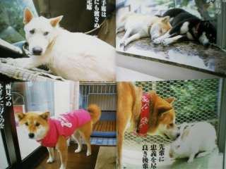 JAPANESE & ENGLISH SHIBA AKITA INU DOGS PHOTO BOOK  