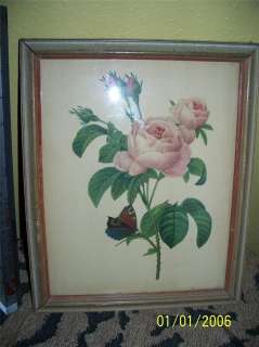 CUTE 1940s Shabby Chic Floral Rose + Butterfly Print  