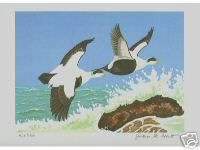 1957 FEDERAL DUCK STAMP PRINT  