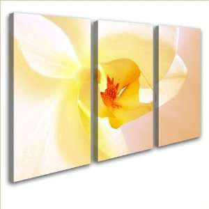 LanaKK   Orchidee Orange   Bilder auf Leinwand XXL in 120x80 cm 