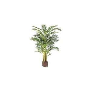  9 Premium Areca Palm