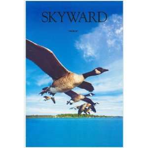 Skyward (IMAX) (1985) 27 x 40 Movie Poster Style A 