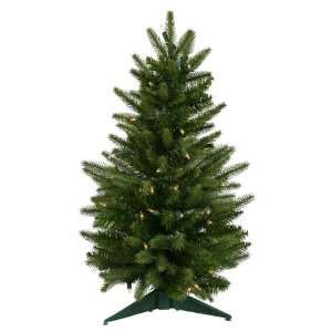  2 Pre Lit Frasier Fir Artificial Christmas Tree   Clear 
