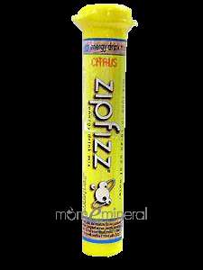10 Count ZipFizz tube Citrus 11.3 gms by BioGenesis  