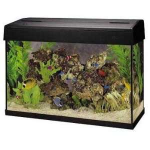  Top Quality Eclipse 29 Gallon Combo