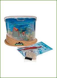 Sea Monkey, Ant Farm & Triops