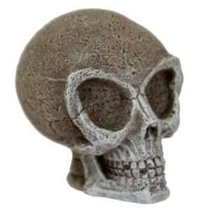   Skull (Catalog Category Aquarium / Resin Ornaments)