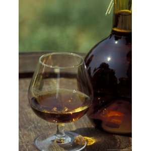 Armagnac is Made From White Grapes, Aquitania, France Photographic 